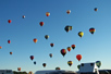 abf2005 pic 20
