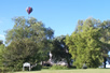 flph2005 pic 25