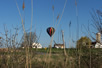 flph2006 pic 3