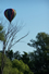 flph2006 pic 30