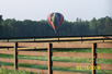 flph2006 pic 44