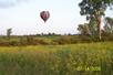 flph2006 pic 64